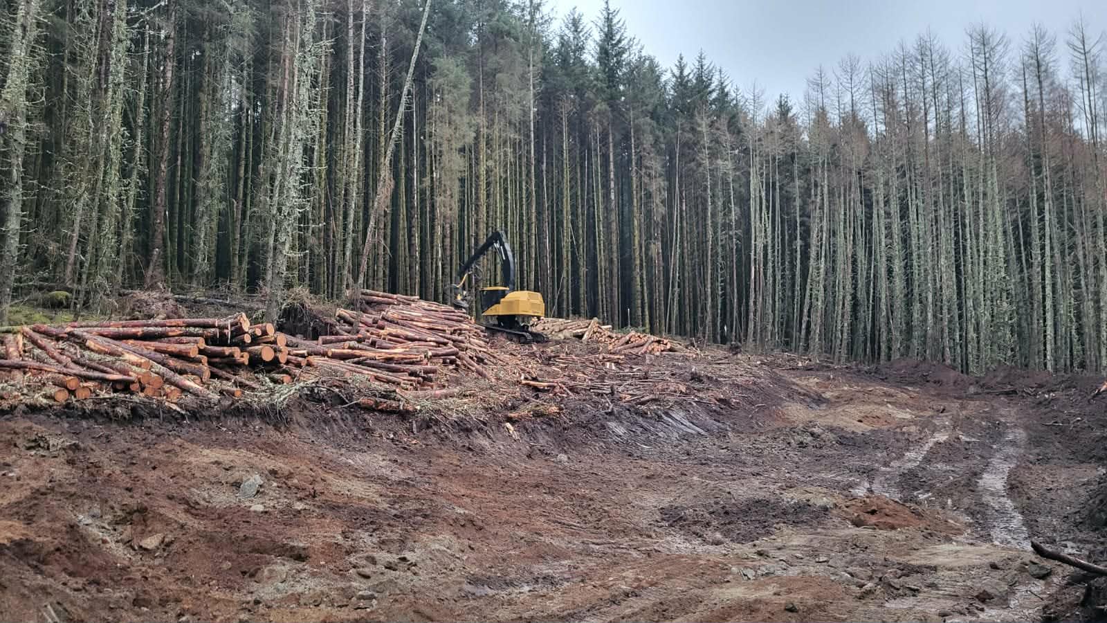 Harvesting has now started at Longrigg Community Woodland!