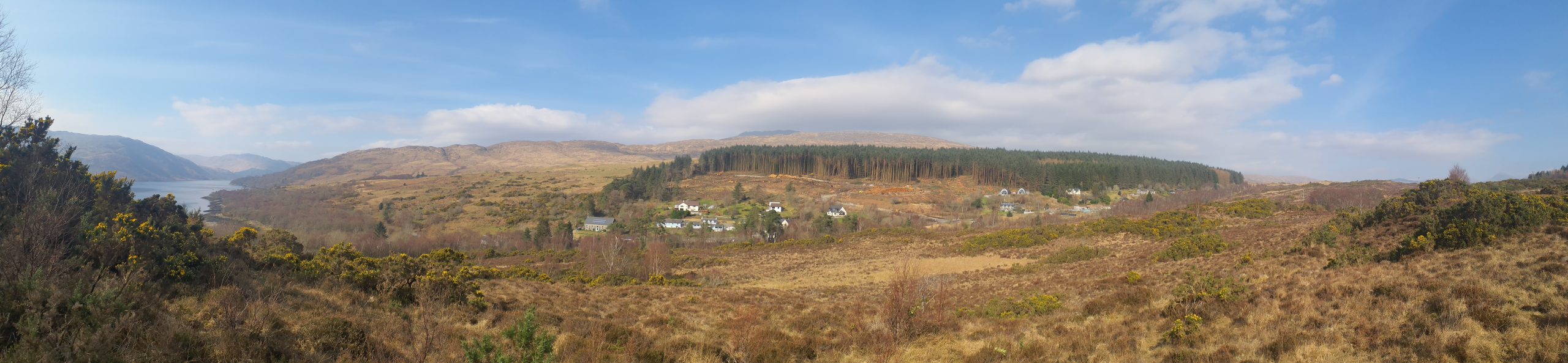 Longrigg Community Woodland: Project Update March/April 2026